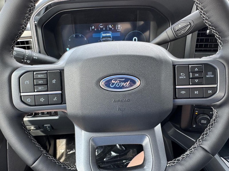 Ford Super Duty F-250 SRW Vehicle Image 21