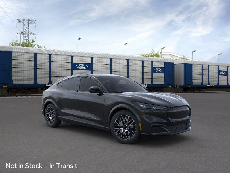 Ford Mustang Mach-E Vehicle Image 09