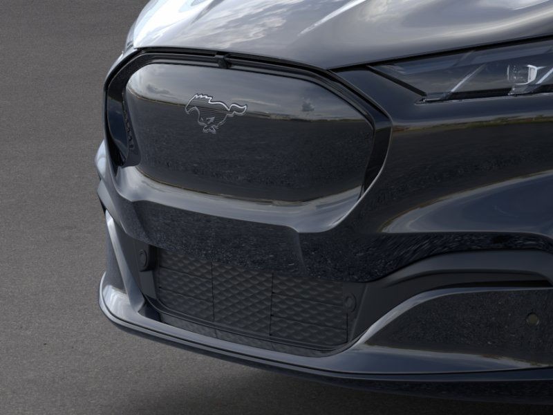 Ford Mustang Mach-E Vehicle Image 19