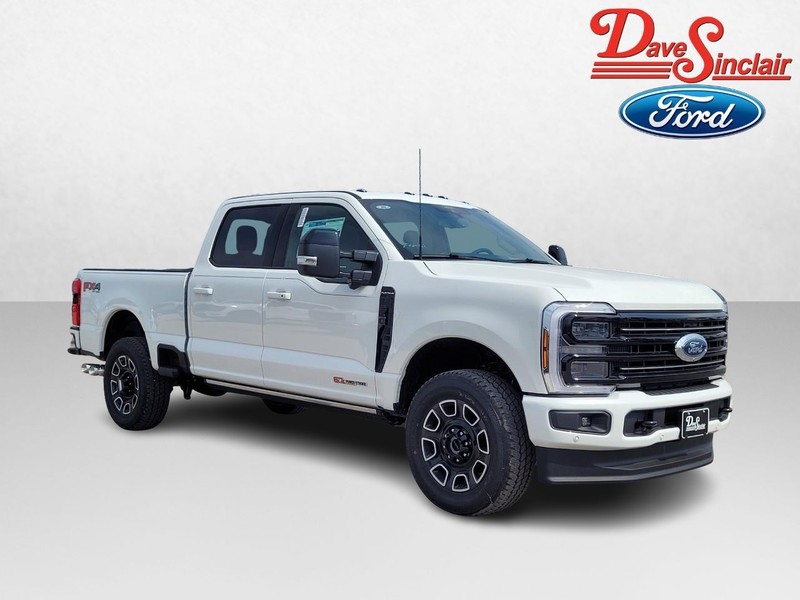 Ford Super Duty F-250 SRW Vehicle Image 04