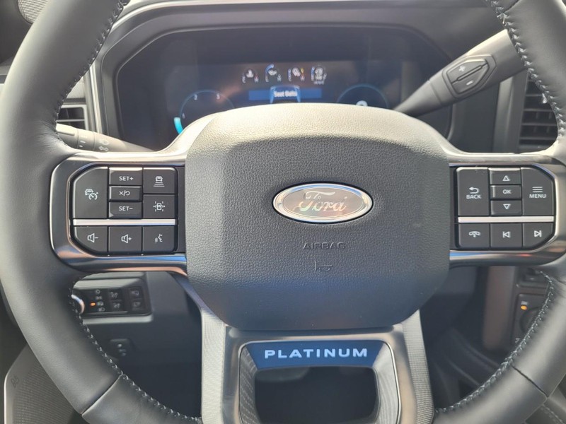 Ford Super Duty F-250 SRW Vehicle Image 22