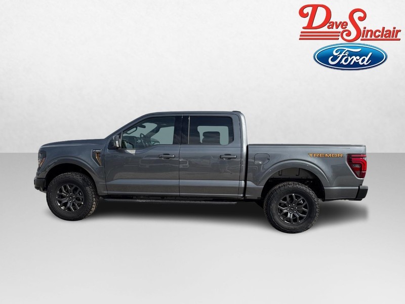 Ford F-150 Vehicle Image 10