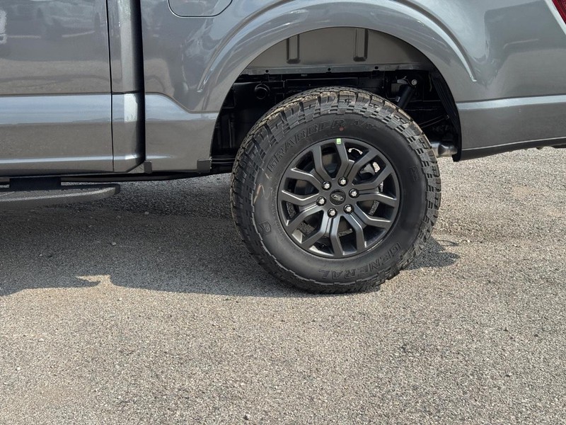 Ford F-150 Vehicle Image 11