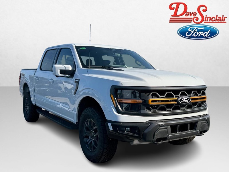 Ford F-150 Vehicle Image 04