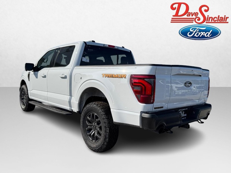 Ford F-150 Vehicle Image 09