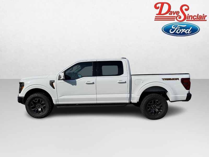 Ford F-150 Vehicle Image 10