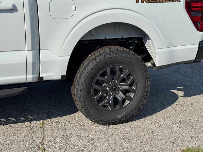 Ford F-150 Vehicle Image 11