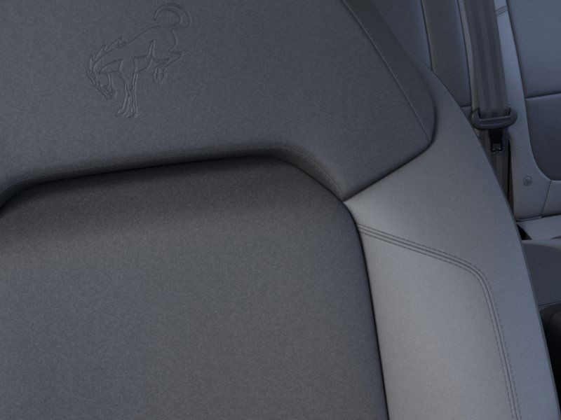 Ford Bronco Vehicle Image 20