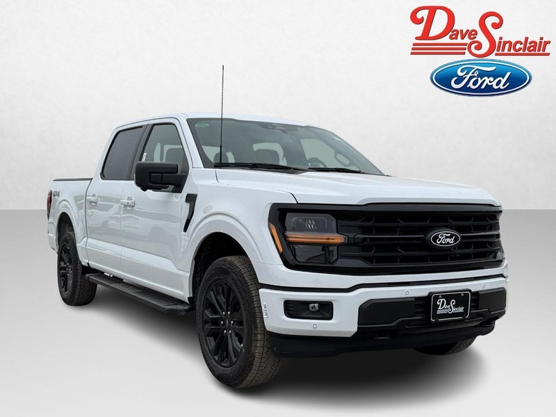 Ford F-150 Vehicle Image 04
