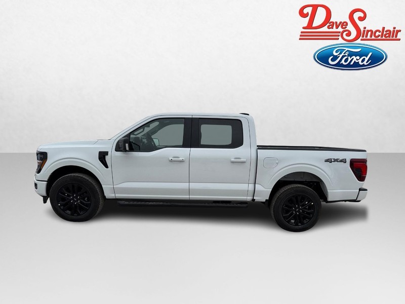 Ford F-150 Vehicle Image 10