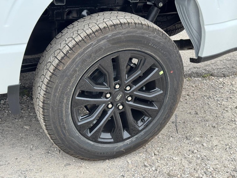 Ford F-150 Vehicle Image 11