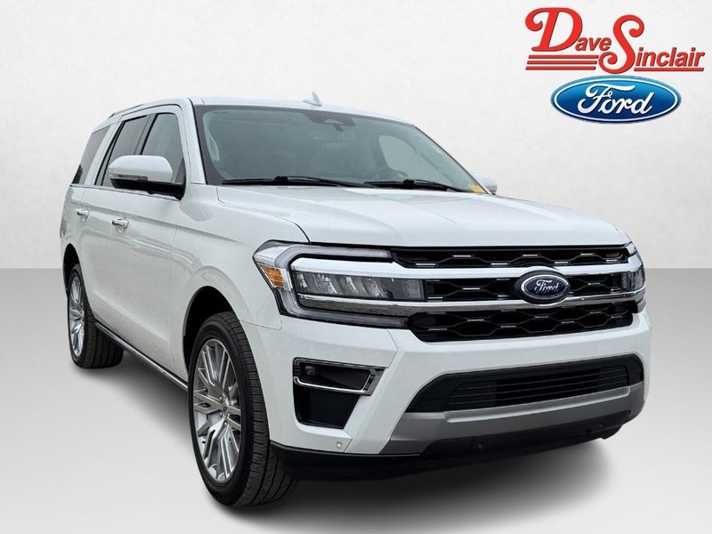 Ford Expedition Vehicle Image 04