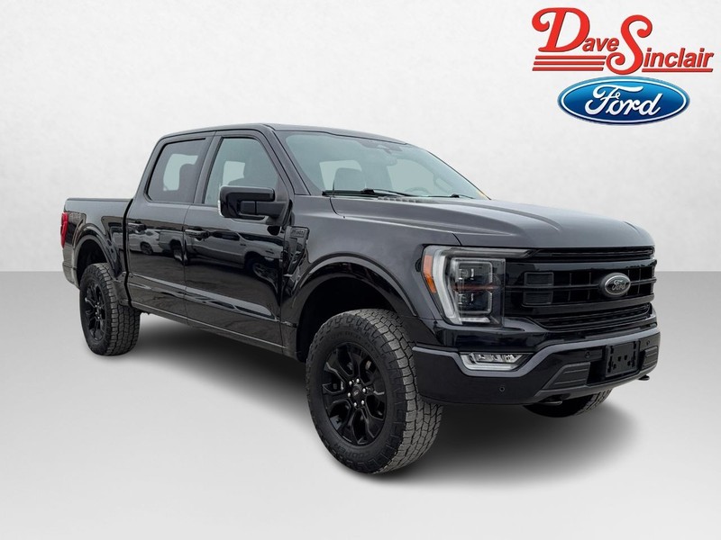 Ford F-150 Vehicle Image 04