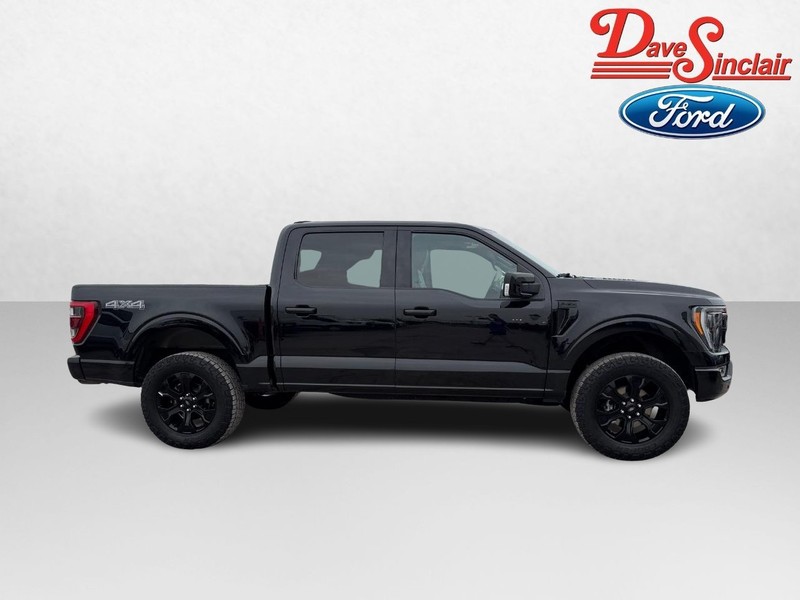 Ford F-150 Vehicle Image 05