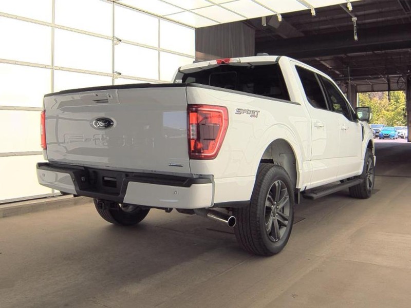 Ford F-150 Vehicle Image 02