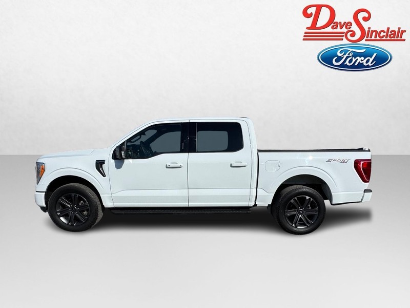 Ford F-150 Vehicle Image 10