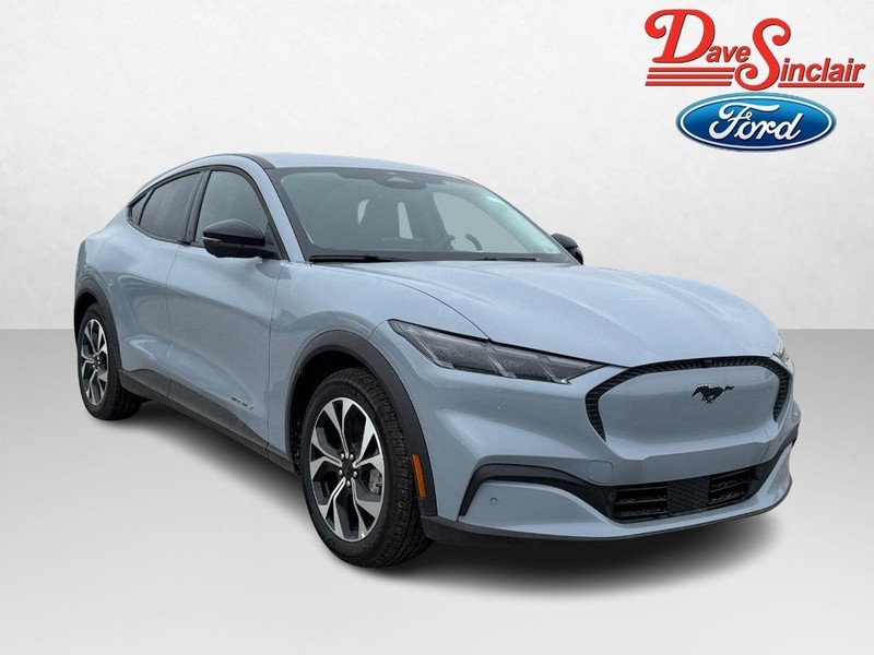 Ford Mustang Mach-E Vehicle Image 04