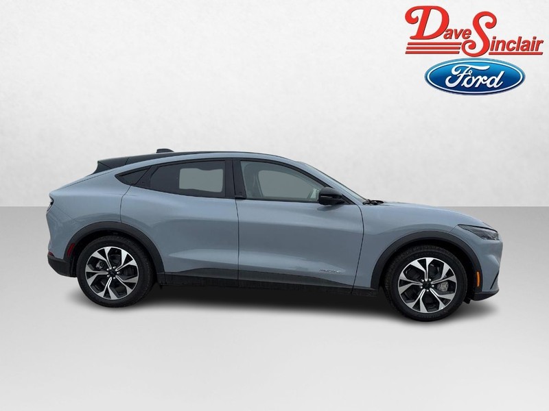 Ford Mustang Mach-E Vehicle Image 05