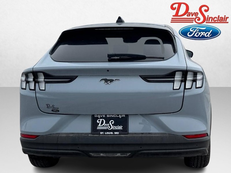 Ford Mustang Mach-E Vehicle Image 08