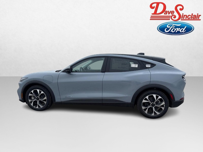Ford Mustang Mach-E Vehicle Image 10