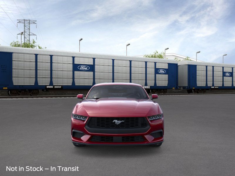 Ford Mustang Vehicle Image 08