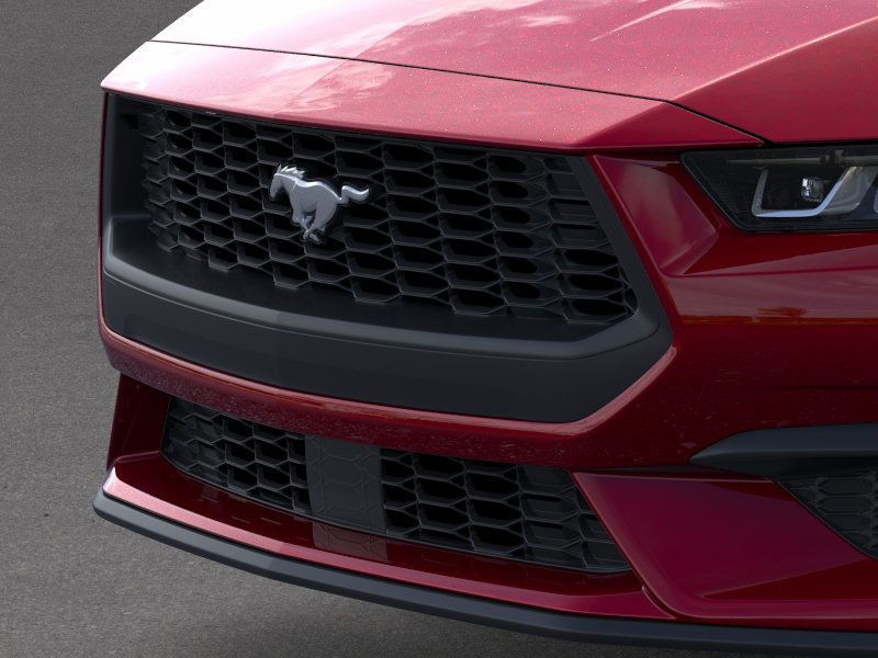 Ford Mustang Vehicle Image 19