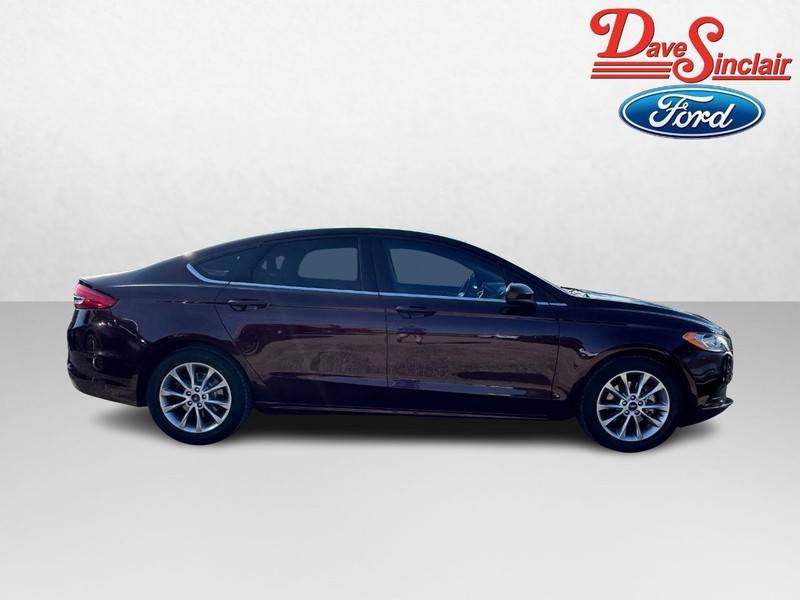 Ford Fusion Vehicle Image 05