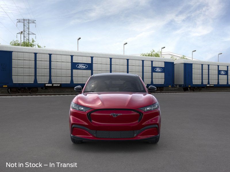 Ford Mustang Mach-E Vehicle Image 08