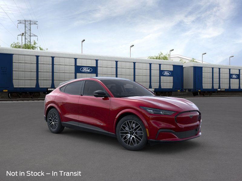 Ford Mustang Mach-E Vehicle Image 09