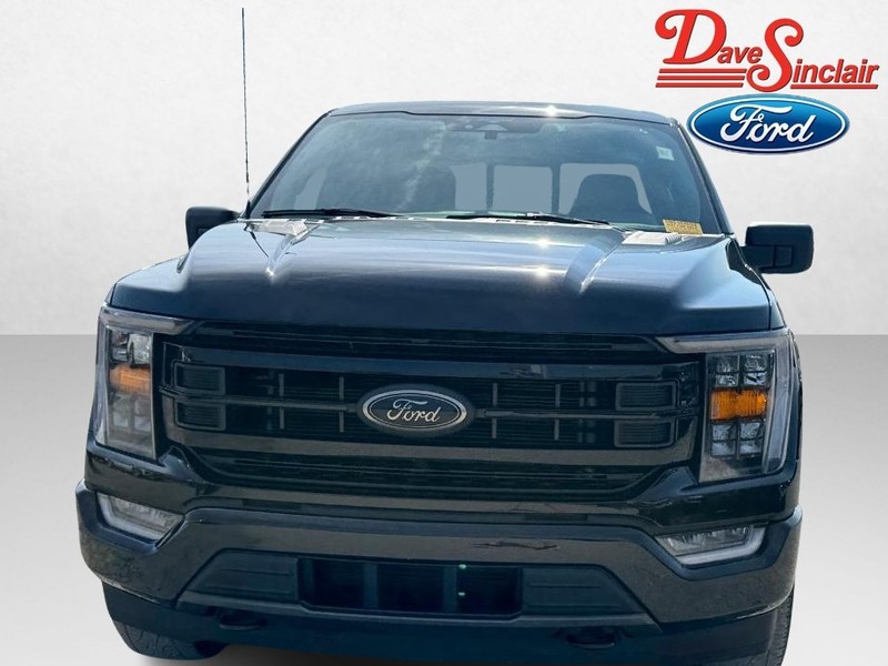 Ford F-150 Vehicle Image 02