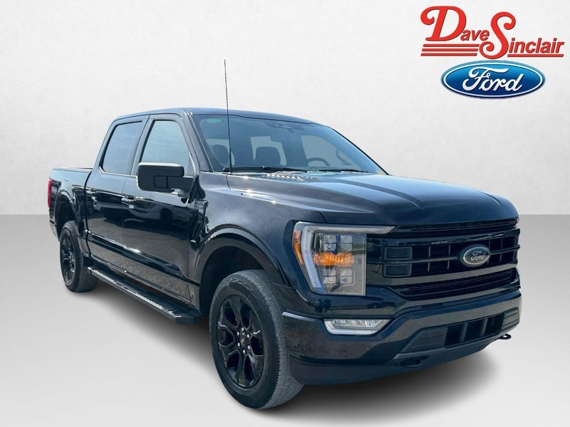 Ford F-150 Vehicle Image 04