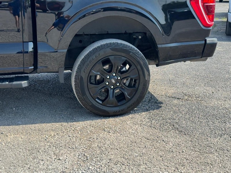 Ford F-150 Vehicle Image 11