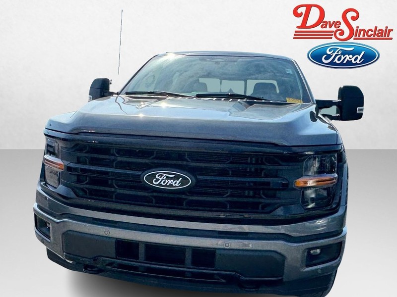 Ford F-150 Vehicle Image 02