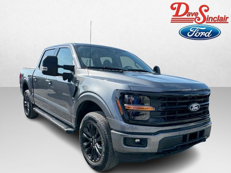 Ford F-150 Vehicle Image 04