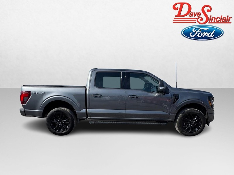 Ford F-150 Vehicle Image 05