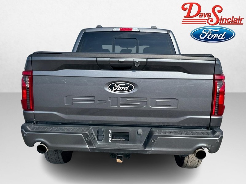 Ford F-150 Vehicle Image 08