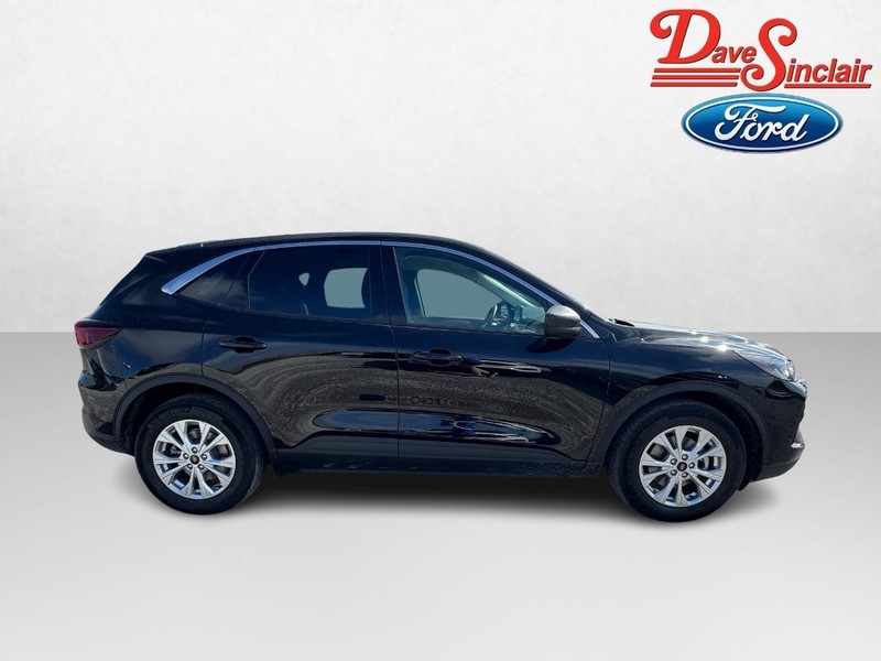 Ford Escape Vehicle Image 05