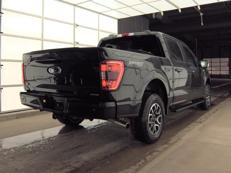 Ford F-150 Vehicle Image 02