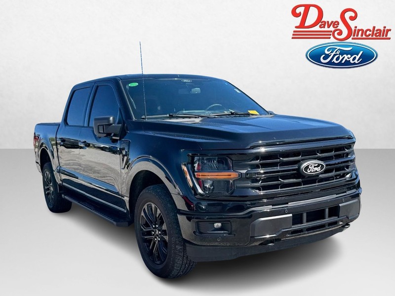 Ford F-150 Vehicle Image 04