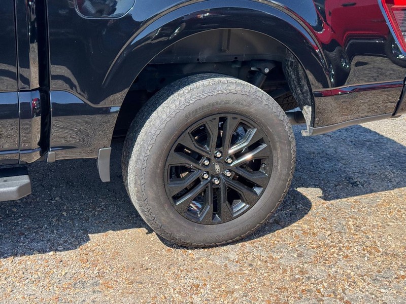 Ford F-150 Vehicle Image 11