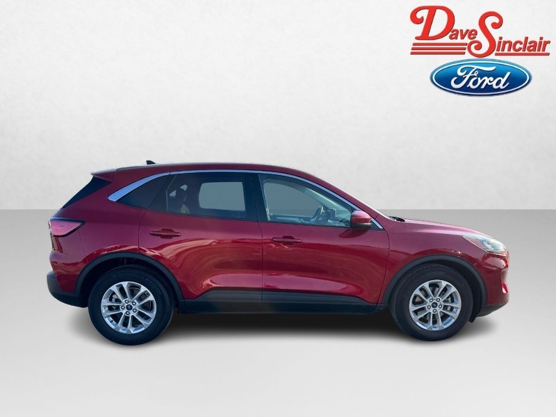 Ford Escape Vehicle Image 05