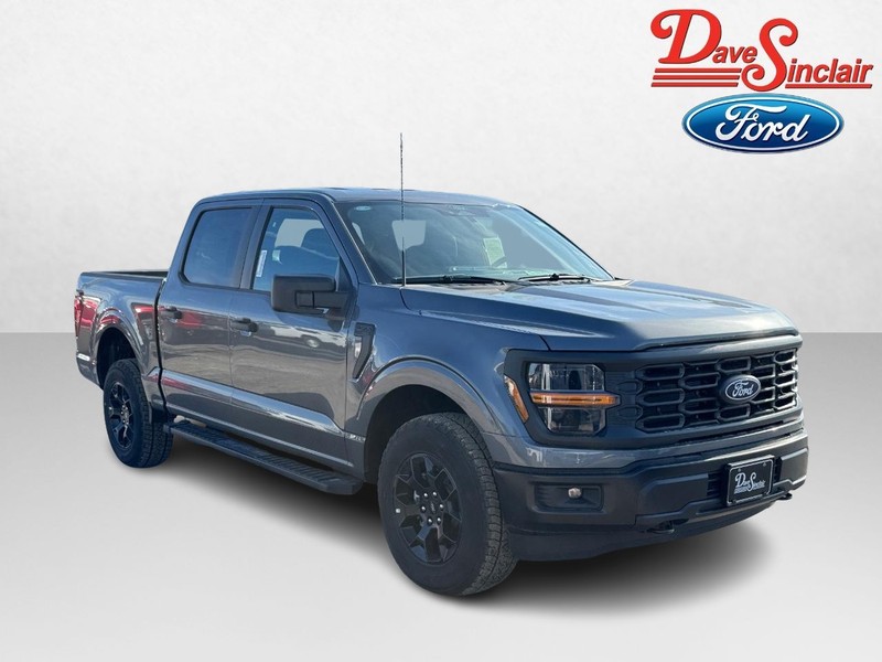 Ford F-150 Vehicle Image 04