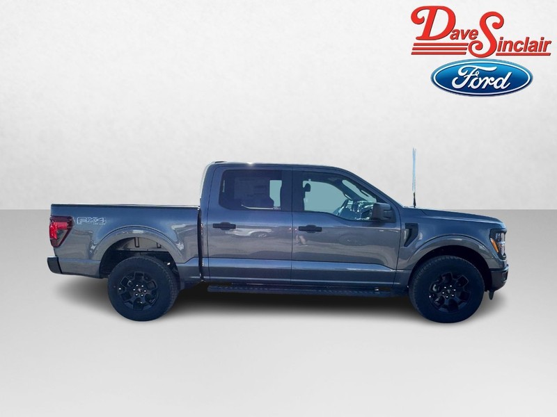Ford F-150 Vehicle Image 05