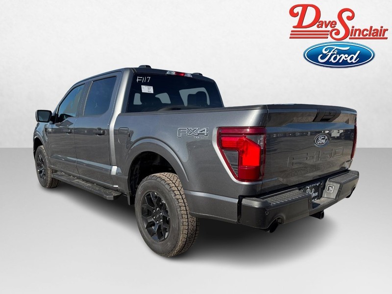 Ford F-150 Vehicle Image 09