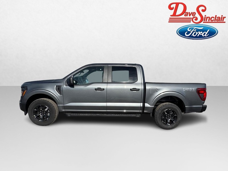 Ford F-150 Vehicle Image 10