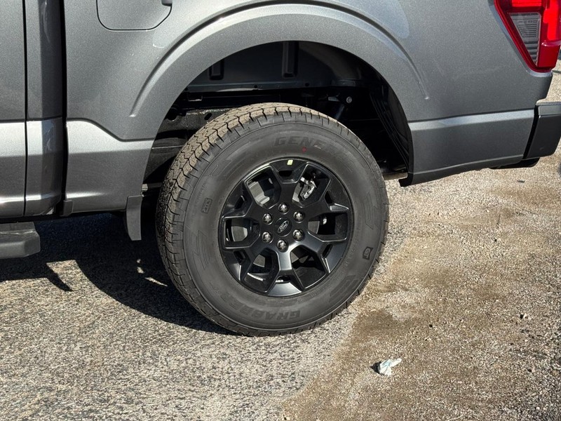 Ford F-150 Vehicle Image 11
