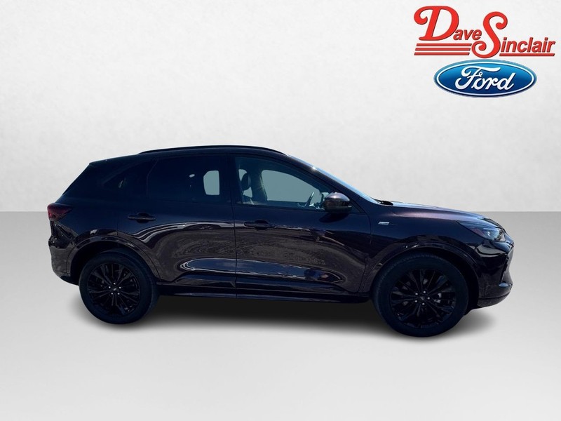 Ford Escape Vehicle Image 05