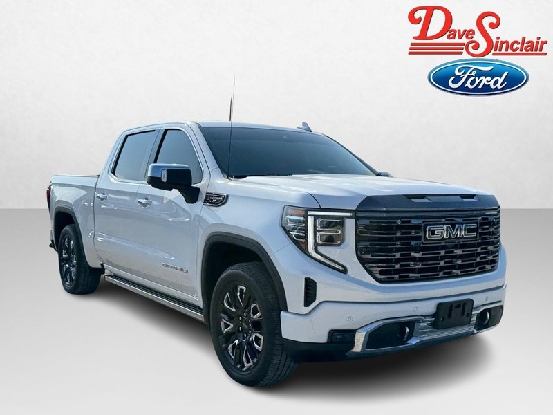 GMC Sierra 1500 Vehicle Image 04