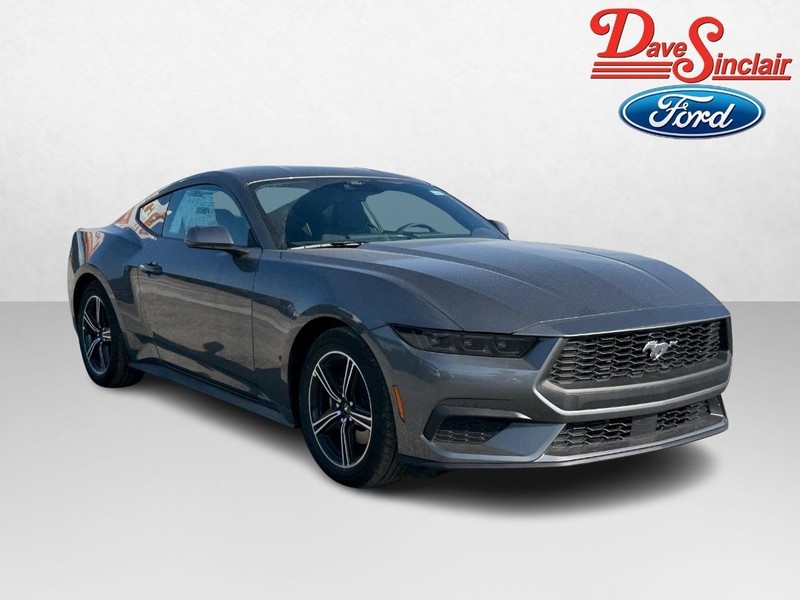Ford Mustang Vehicle Image 04