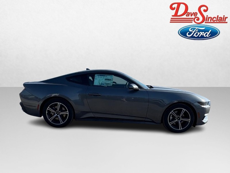 Ford Mustang Vehicle Image 05
